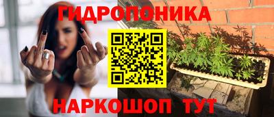 PSILOCYBIN Белорецк