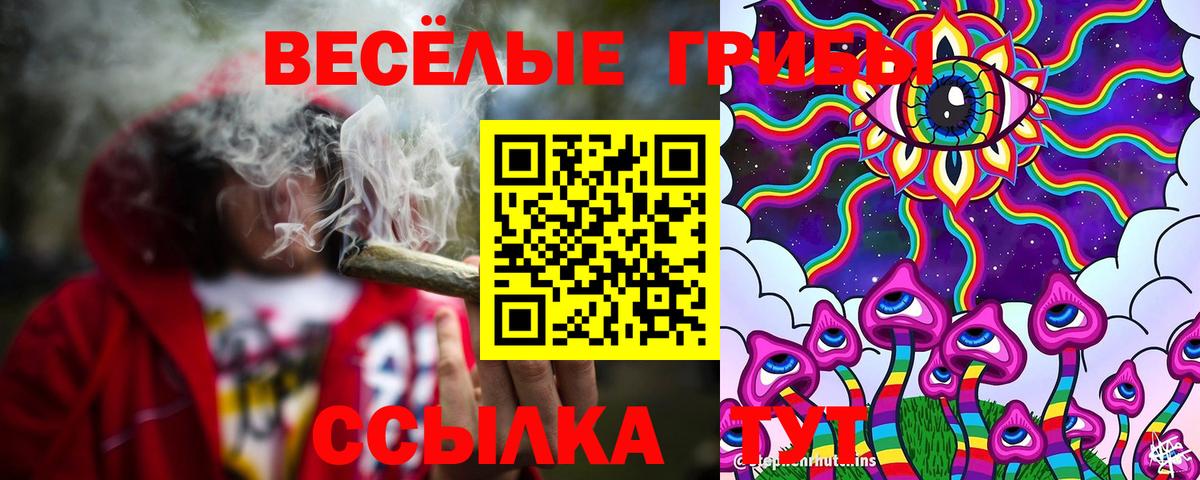 Псилоцибиновые грибы прущие грибы Димитровград