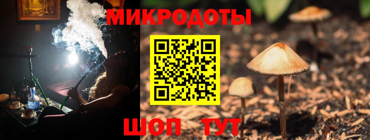 Димитровград  Псилоцибиновые грибы прущие грибы  Вход с VPN  Псилоцибиновые грибы Psilocybe 